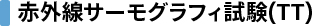 赤外線サーモグラフィ試験(TT)