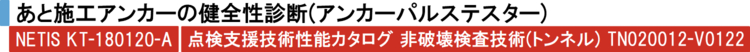 あと施工アンカーの健全性診断