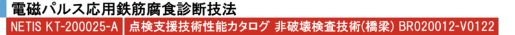 電磁パルス応用鉄筋腐食診断技法